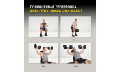Гантель регулируемая MX Select MX85 вес 5.6 - 38.6 кг, 1 шт Гантель регулируемая MX Select MX85 вес 5.6 - 38.6 кг, 1 шт